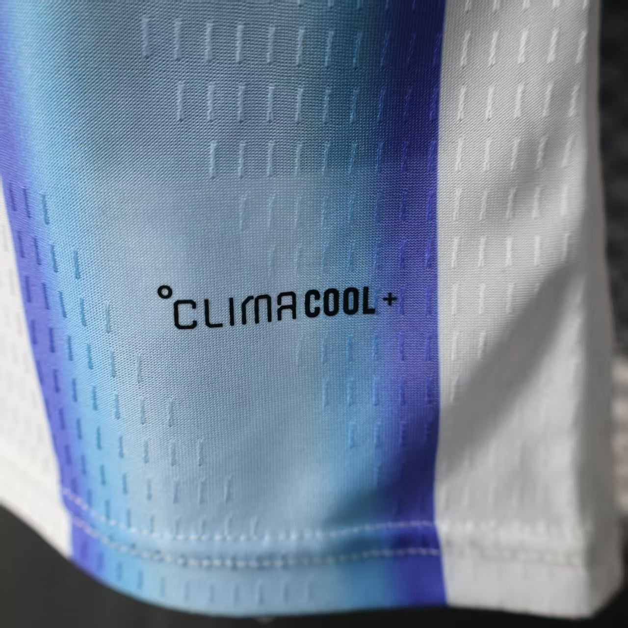 25/26 ARGENTINA WORLD CUP HOME