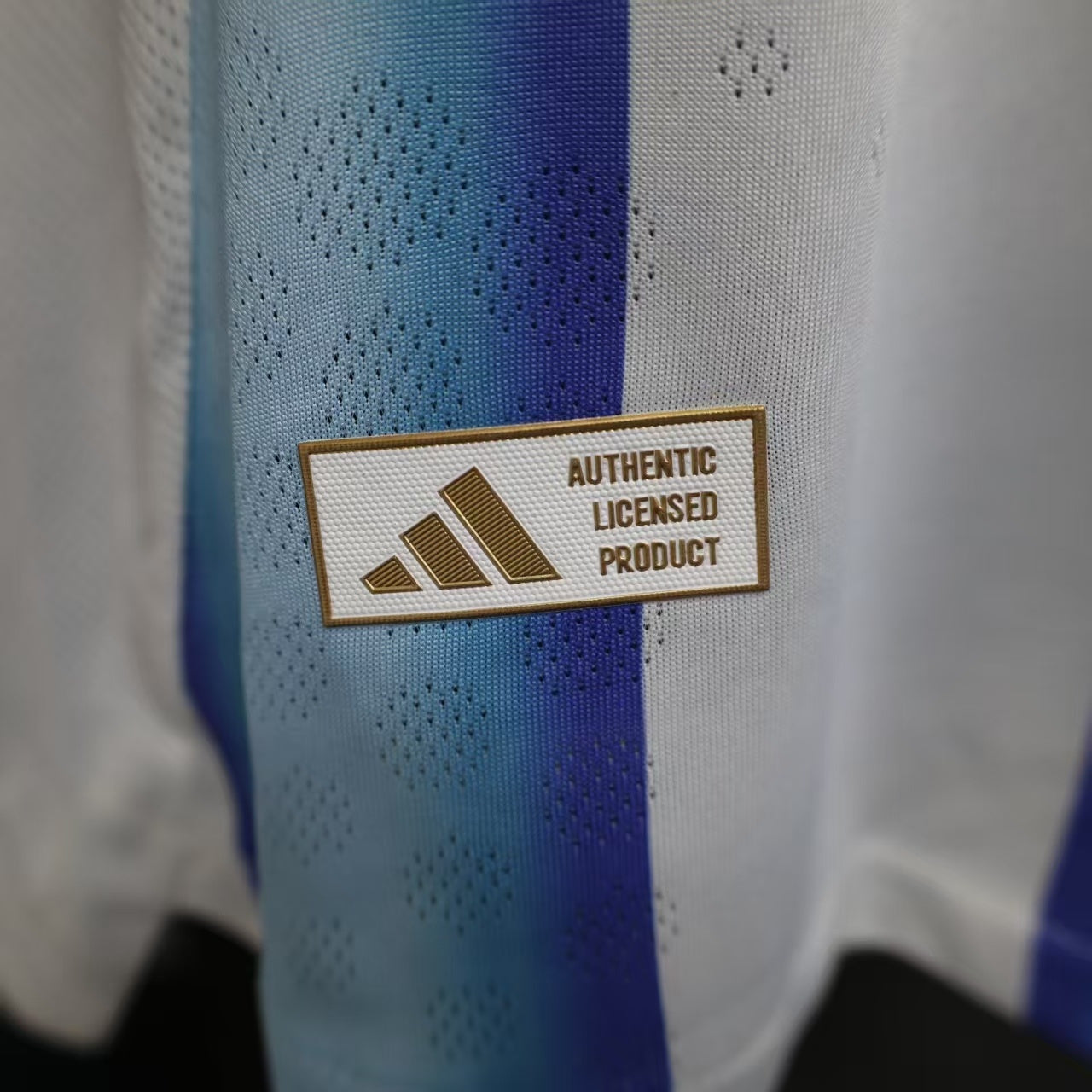 25/26 ARGENTINA WORLD CUP HOME